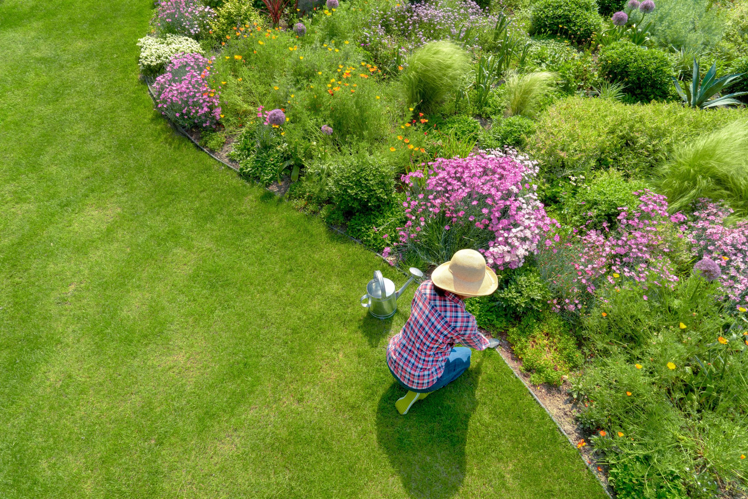 Jak samodzielnie urządzić ogród?