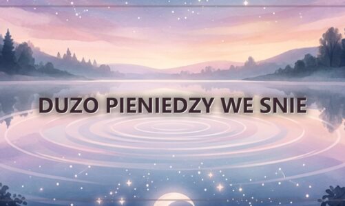 Duzo pieniedzy we snie