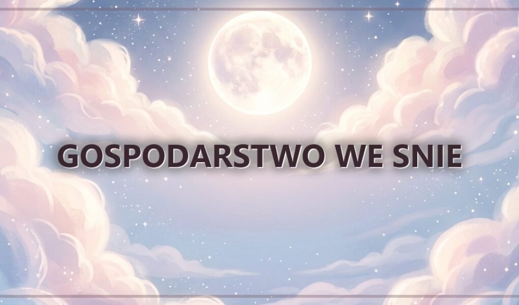 Gospodarstwo we snie