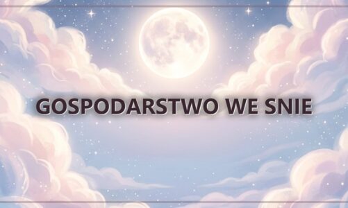 Gospodarstwo we snie