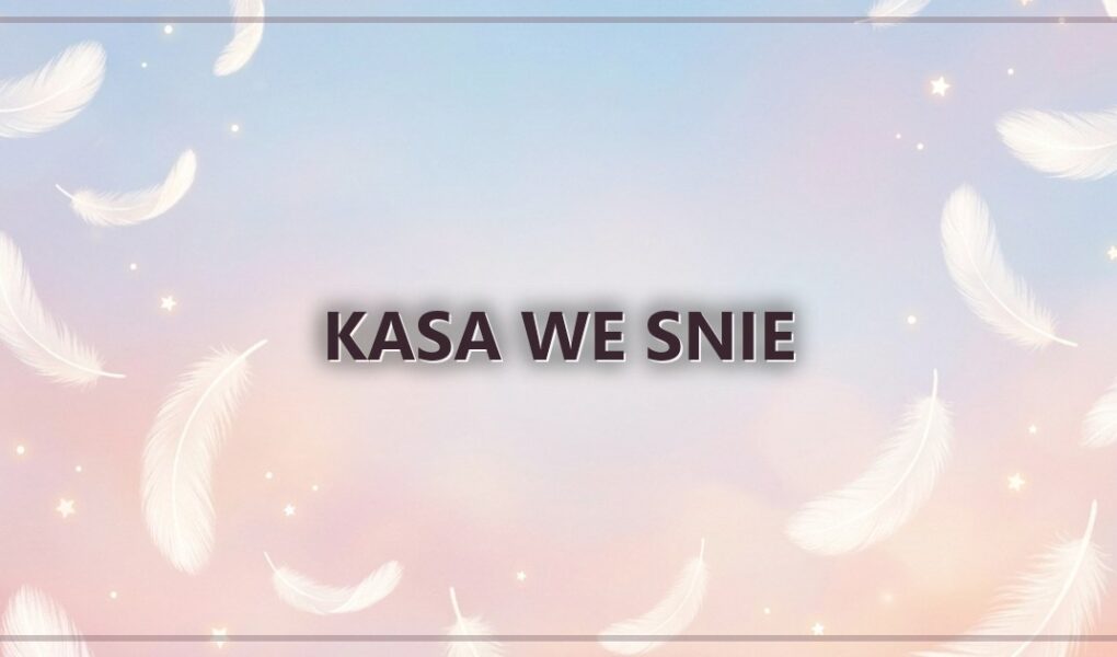 Kasa we snie