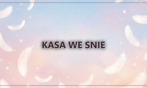 Kasa we snie