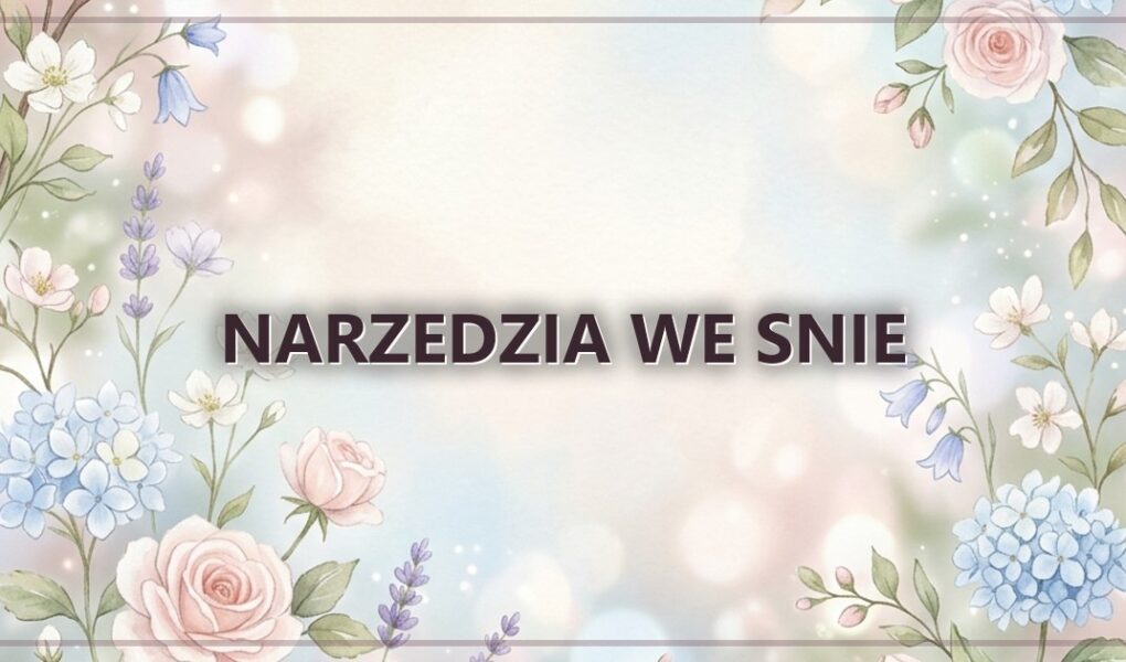 Narzedzia we snie