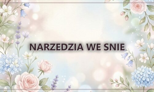 Narzedzia we snie