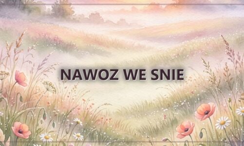 Nawoz we snie
