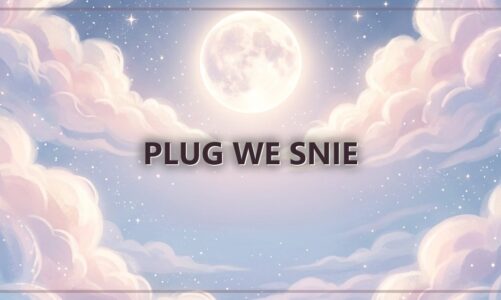 Plug we snie