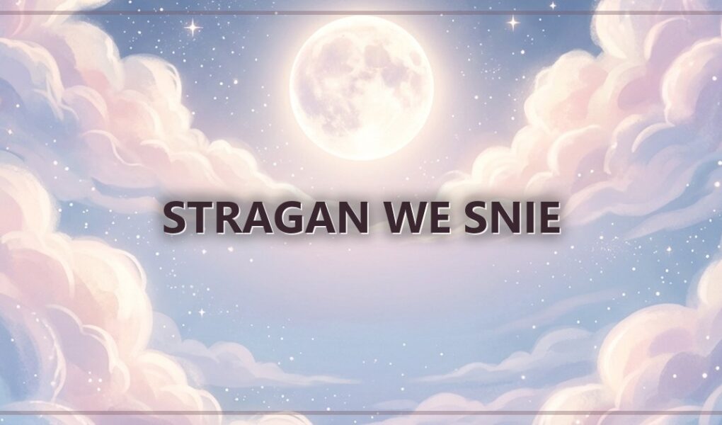 Stragan we snie