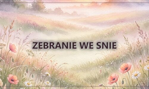 Zebranie we snie
